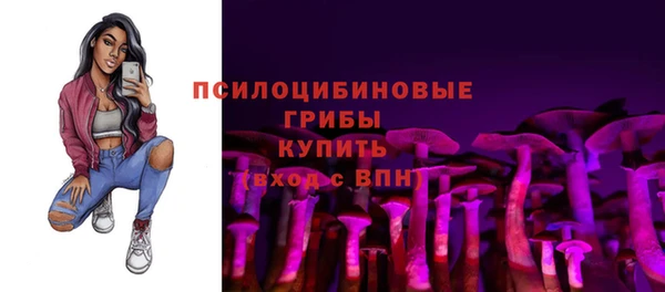 амф Вязьма