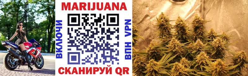 дарнет шоп  Химки  Шишки марихуана гибрид 